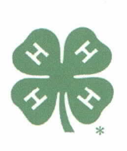 small4-h.jpg